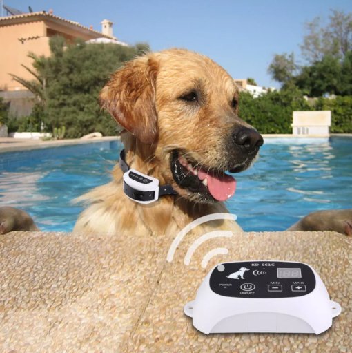 Elektroniskt Hundstängsel med Justerbar Krage 1