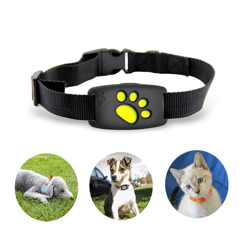 GPS Halsband för Katter Vattentåligt och Justerbart 0