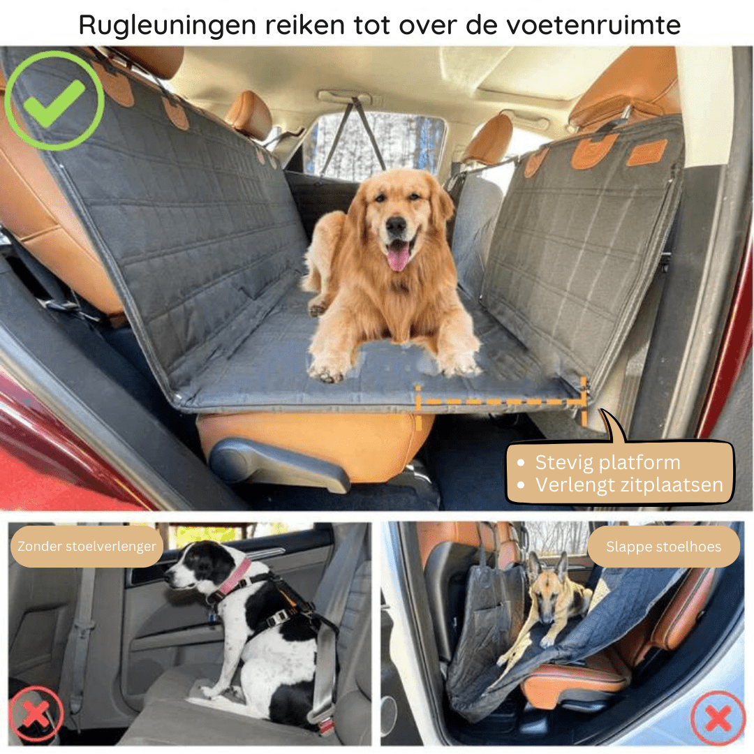 Hundbärare med Memory Foam och Vattentålig Yta 5