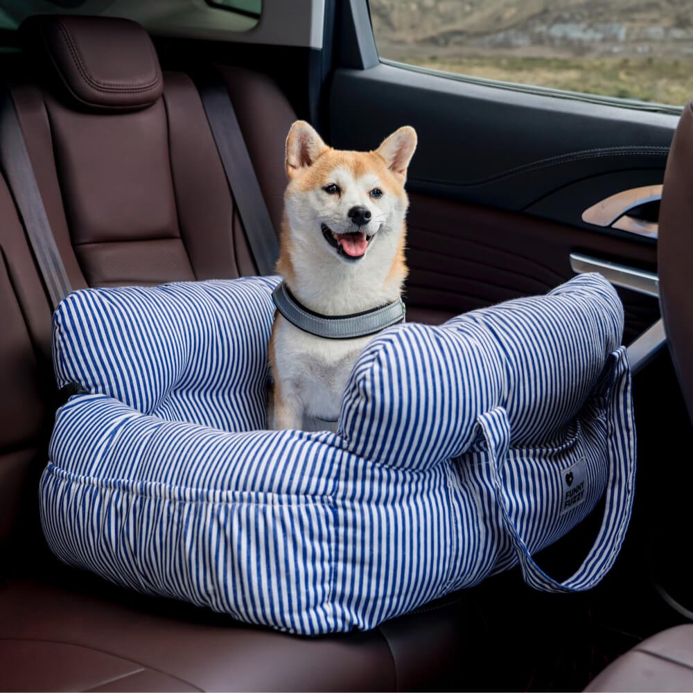 Hundbur Bil med Vadderad Insida 4