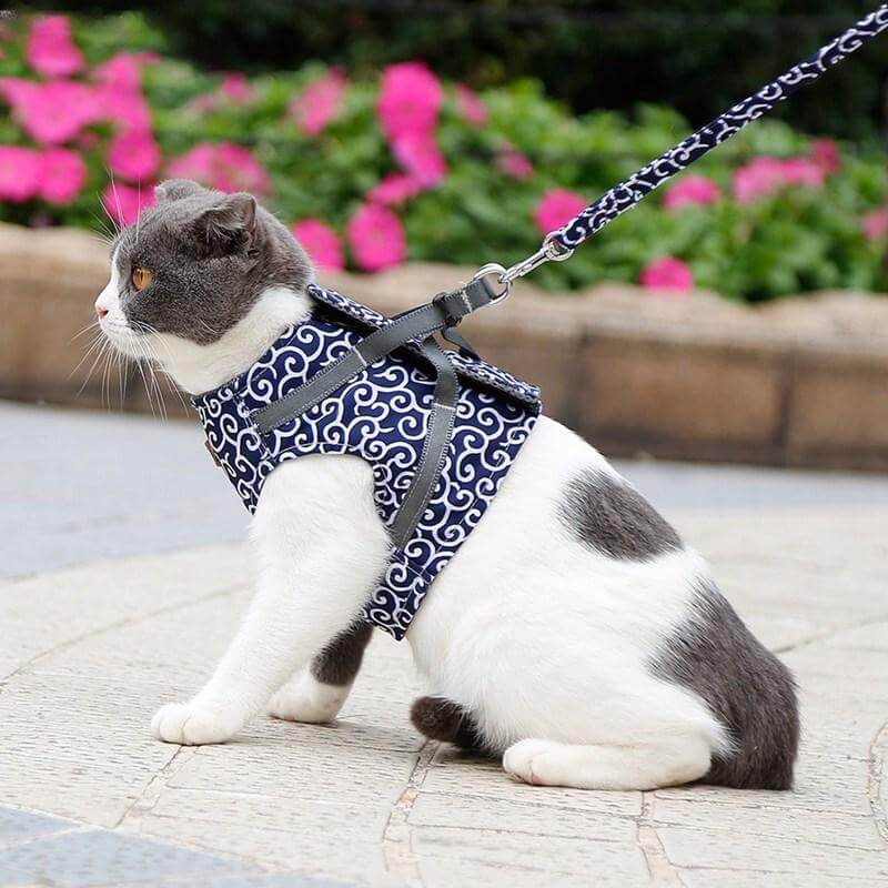 Kattsele i Ventilerande Mesh med Justerbara Remmar 1