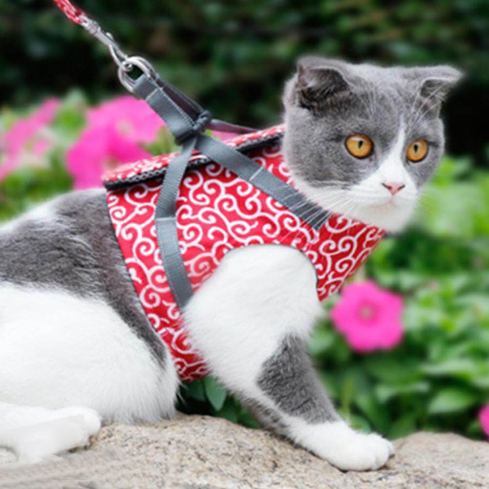 Kattsele i Ventilerande Mesh med Justerbara Remmar 2