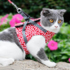 Kattsele i Ventilerande Mesh med Justerbara Remmar 2