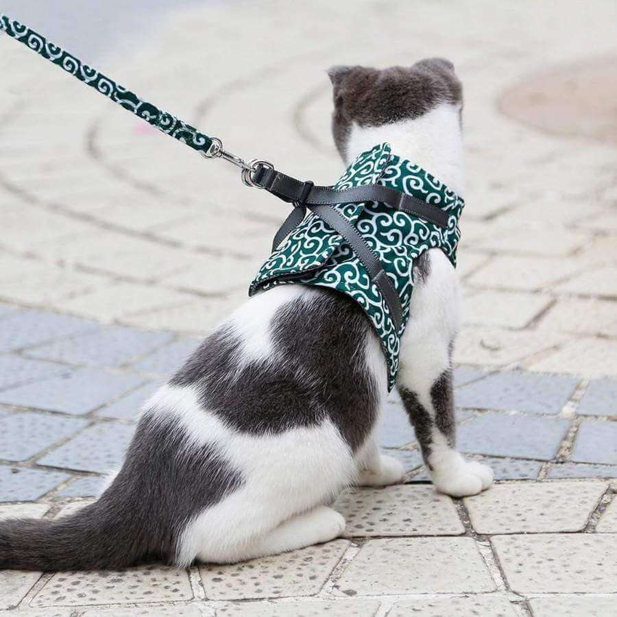 Kattsele i Ventilerande Mesh med Justerbara Remmar 4