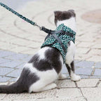 Kattsele i Ventilerande Mesh med Justerbara Remmar 4