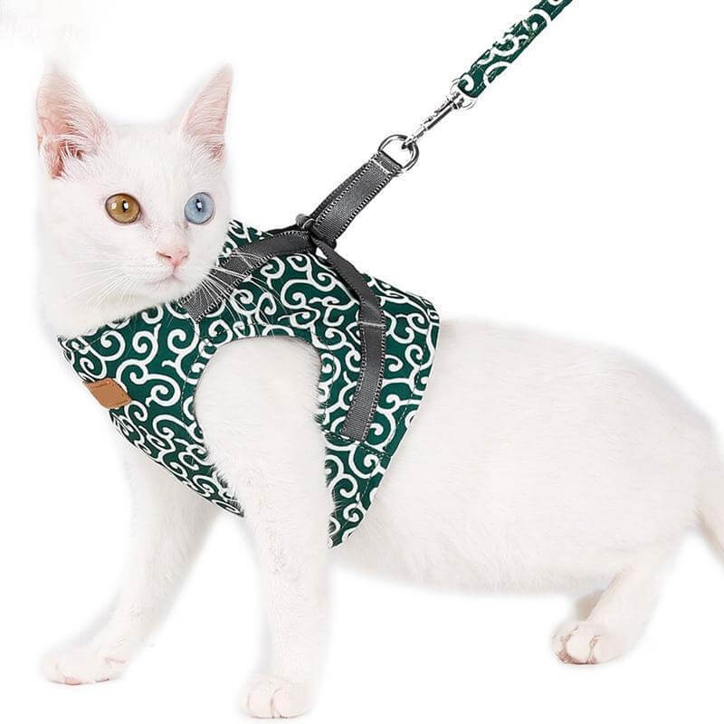 Kattsele i Ventilerande Mesh med Justerbara Remmar 5
