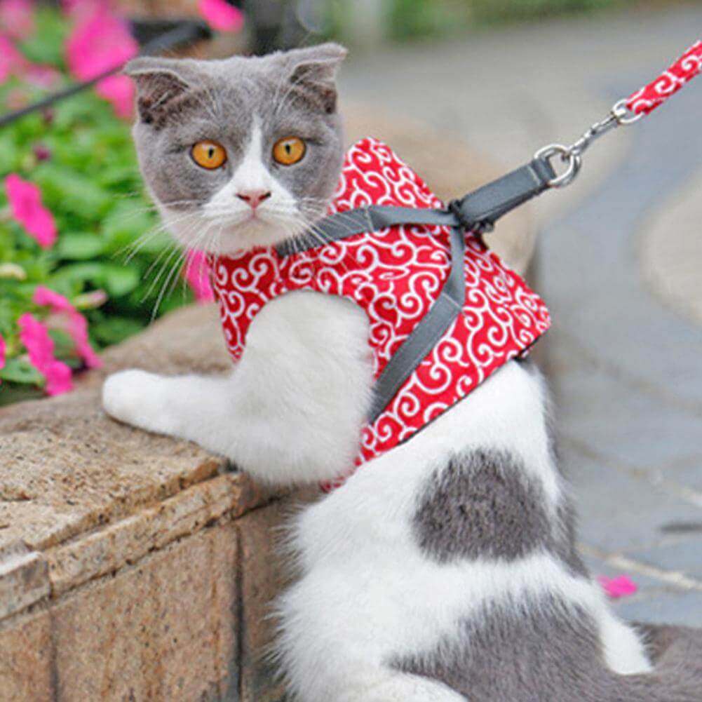 Kattsele i Ventilerande Mesh med Justerbara Remmar 6