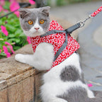 Kattsele i Ventilerande Mesh med Justerbara Remmar 6
