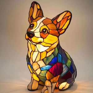Corgi sittande