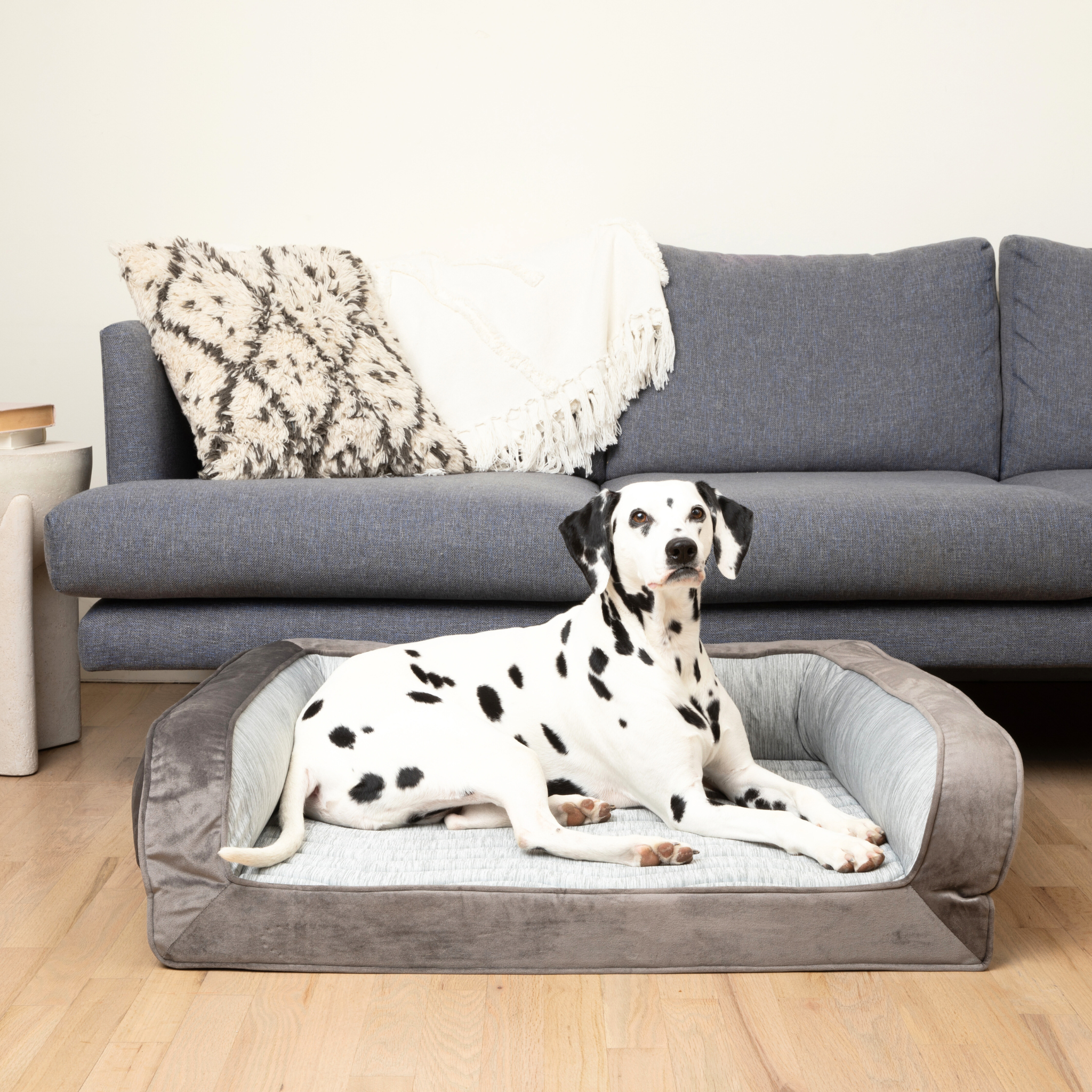 PupChill™ Hundbädd ? Ultimat Svalka och Komfort för Din Hund 7