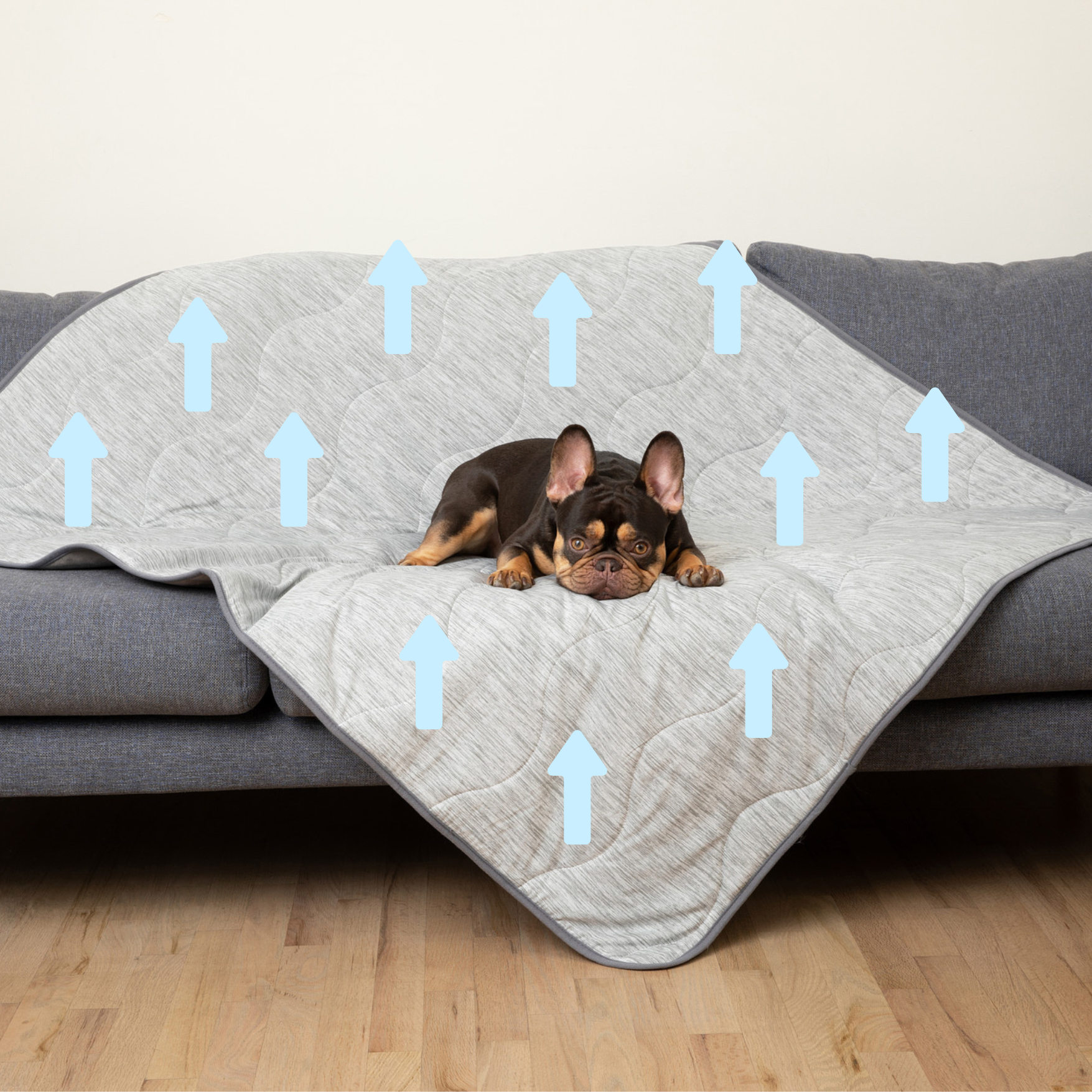 PupChill™ Hundfilt ? Optimal Komfort och Skydd för Din Pälskling 0