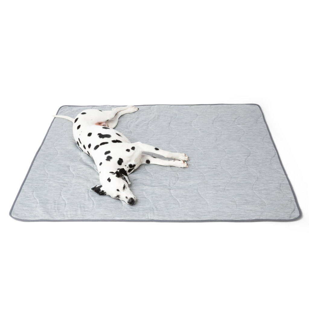 PupChill™ Hundfilt ? Optimal Komfort och Skydd för Din Pälskling 3