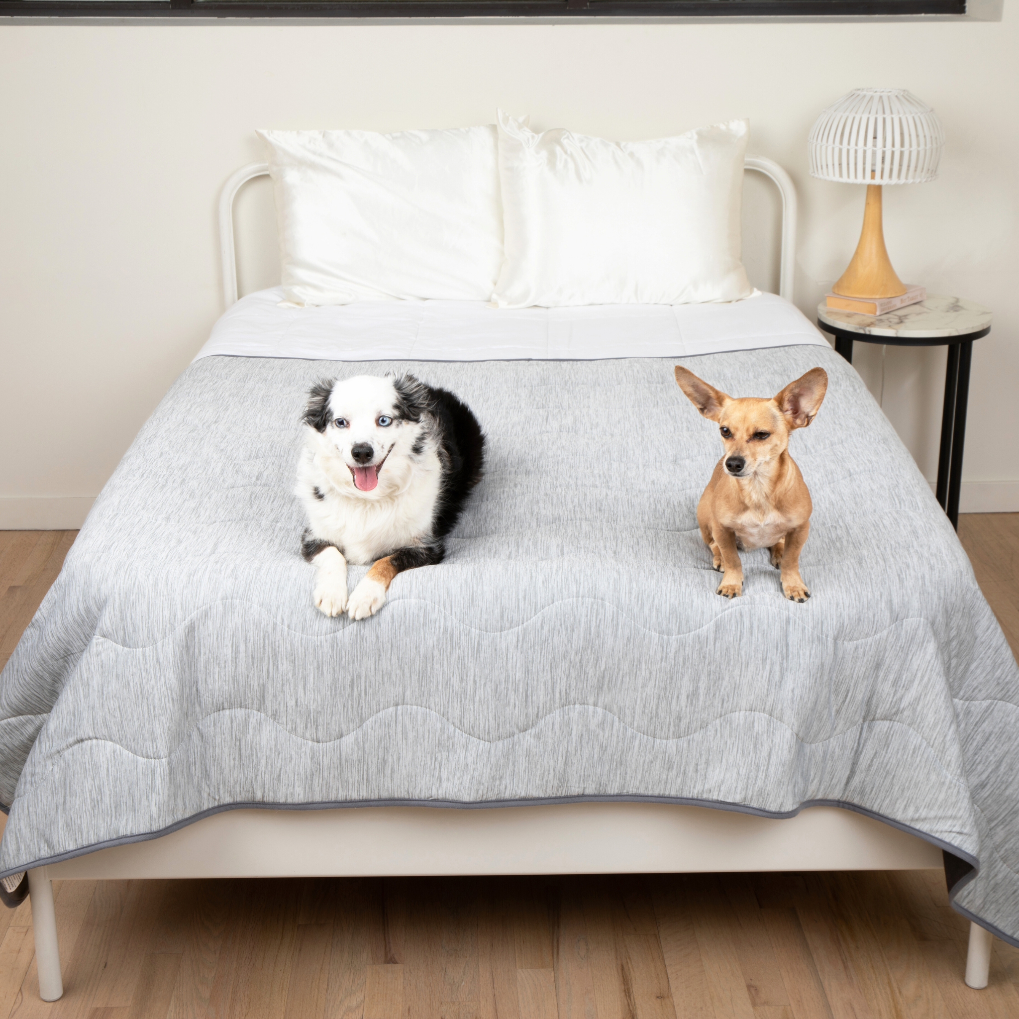 PupChill™ Hundfilt ? Optimal Komfort och Skydd för Din Pälskling 7