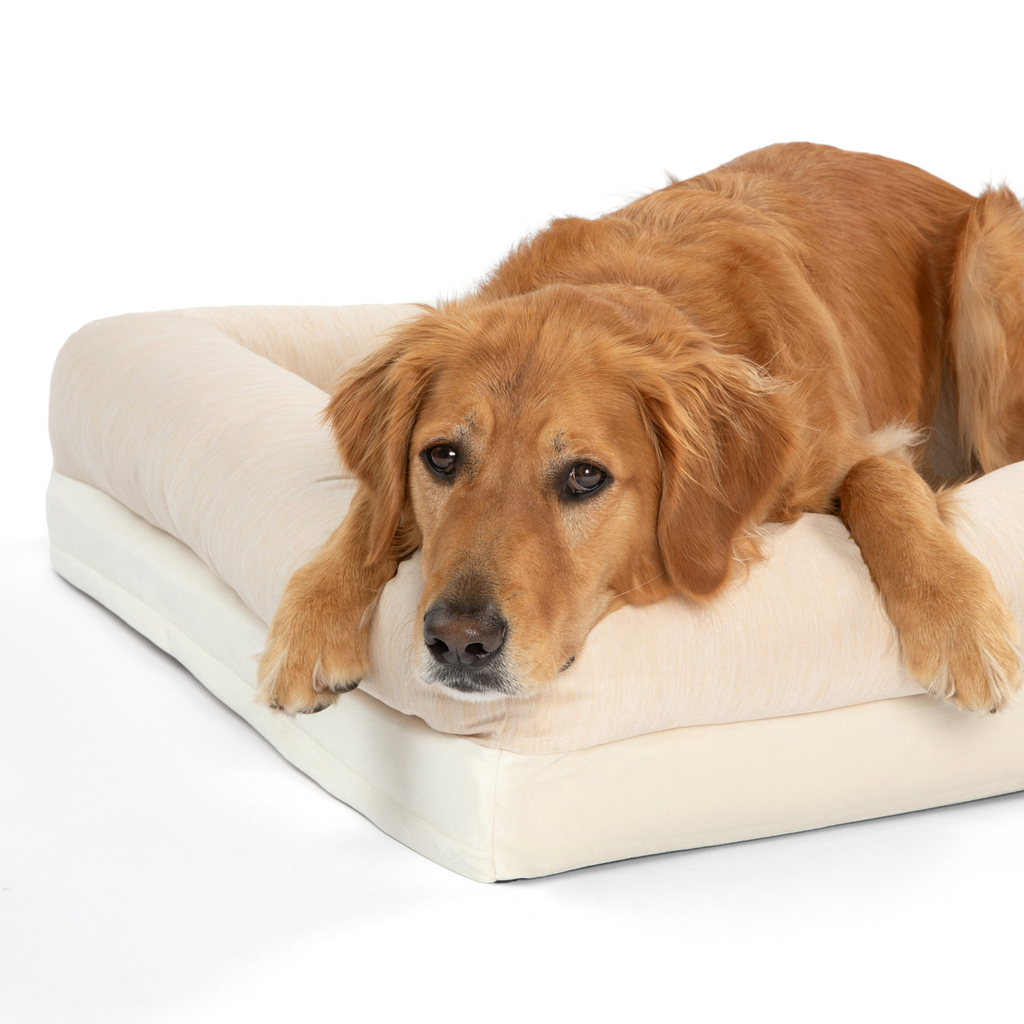 PupChill™ Hundsäng ? Ultimat Kylkomfort för Din Hunds Avkoppling 2