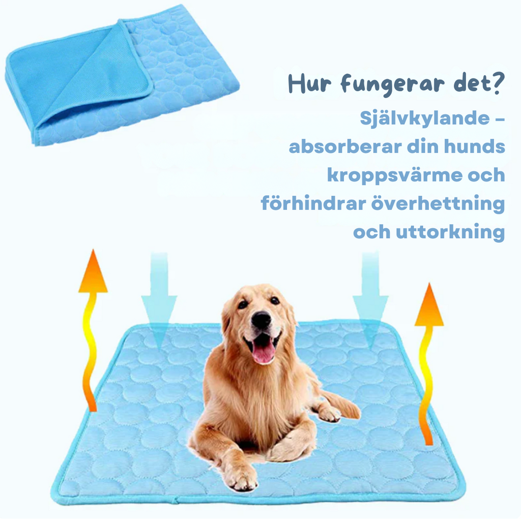 Självkylande Dyna för Husdjur ? Omedelbar Svalka och Komfort 3